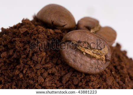 A group of coffee seeds