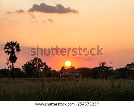 Landscape, sunset in a field and home