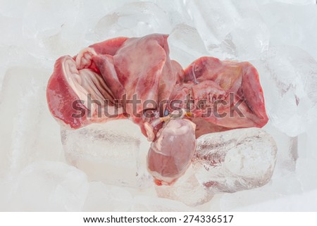 chicken liver and chicken gizzard in ice on white