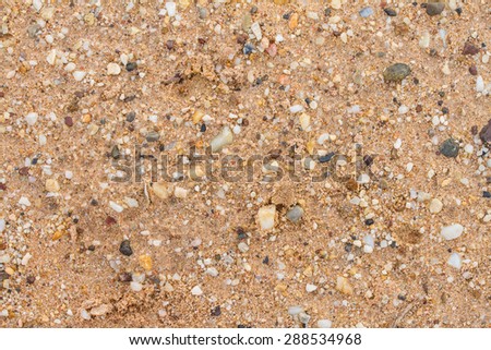 rock and sand on the ground