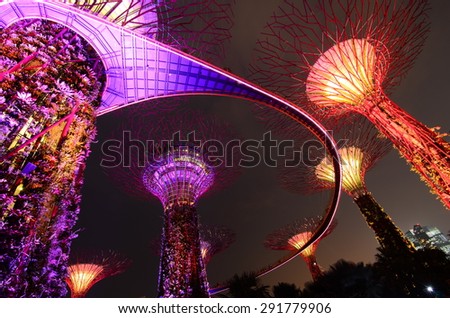 Singapore, Singapore - 10 July, 2014: Beautiful light up of Gardens by the bay Supertree Grove in Marina Bay Singapore.
