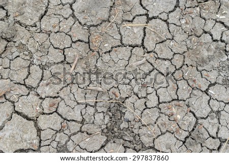 dry ground texture with deep fissures as a background