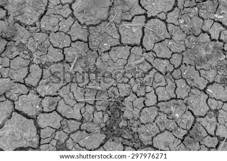 dry ground texture with deep fissures as a background