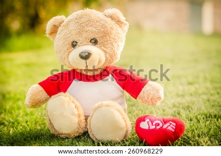 Teddy bear brown color on green grass background in vintage retro style soft focus