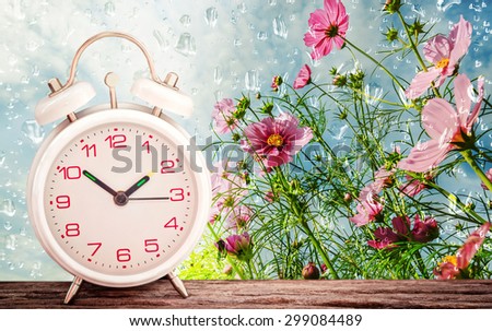 White alarm clock on wooden table with cosmos flower in the garden and water drop background soft focus.