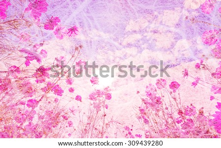 Cosmos flowers in mulberry paper texture on pastel soft color for background soft focus.