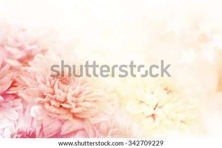 Soft blurred of gerbera flowers with soft bokeh in pastel tone for background.