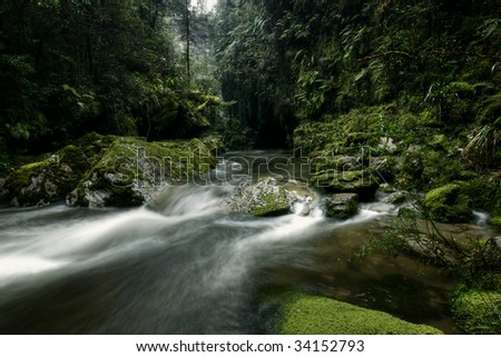 Cave Creek Nz