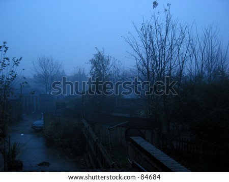 Early morning fog over back yard from first floor window