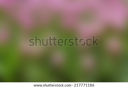 Bokeh green and violet leaf background