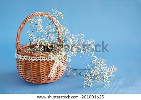 Gypsophila paniculata in the basket, light, airy masses of small white flowers.