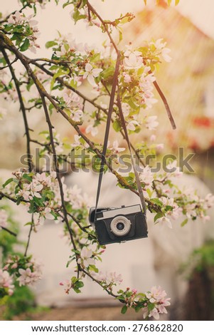 Old a retro the camera hangs on an apple-tree in sunny spring day. Vertical