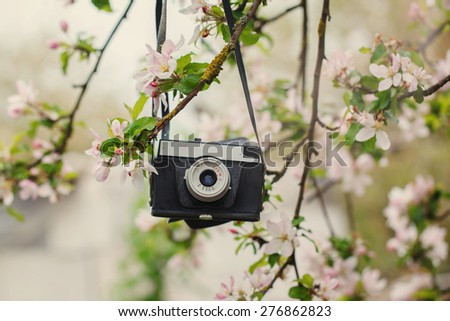Old a retro the camera hangs on an apple-tree in sunny spring day