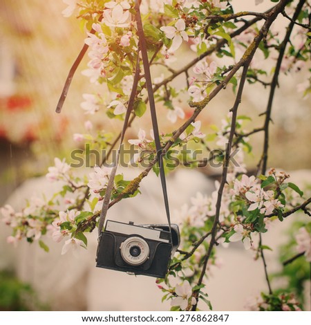 Old a retro the camera hangs on an apple-tree in sunny spring day. Toned image. Square