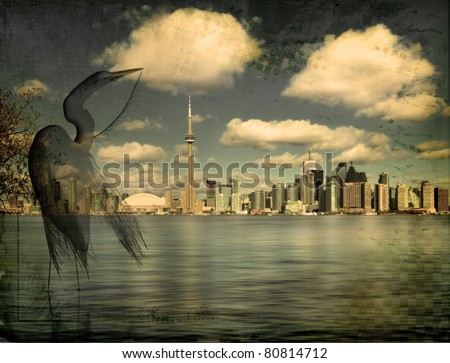 Nature preservation and big city concept. Toronto skyline with grooming egret on foreground Vintage look.