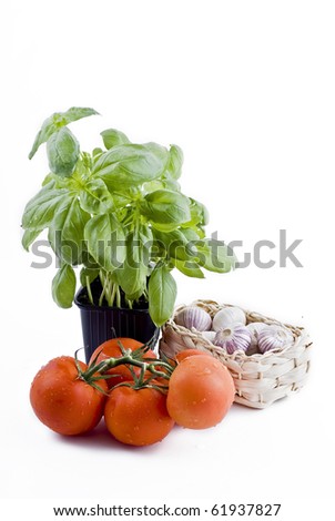 Isolated fresh vegetables - basil in pot, bunch of tomatoes and garlic basket