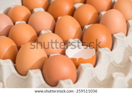 fresh egg and broken eggs isolated on white background