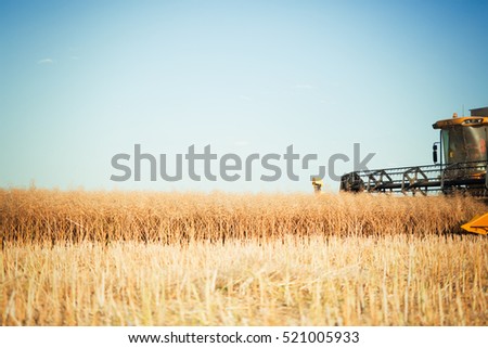 Agriculture machine harvesting crop in fields