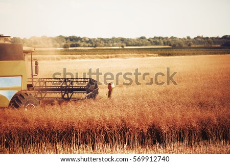 Agriculture machine harvesting crop in fields