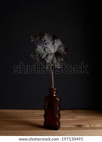 Moody still life of a coral bell leaf in an amber vintage bottle.