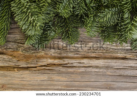 Wallpaper with fir branches on wooden background