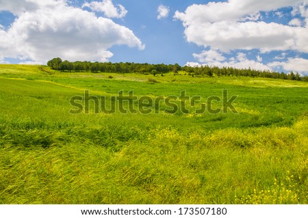 Beautiful landscape of green fields shot in the day light of the early spring