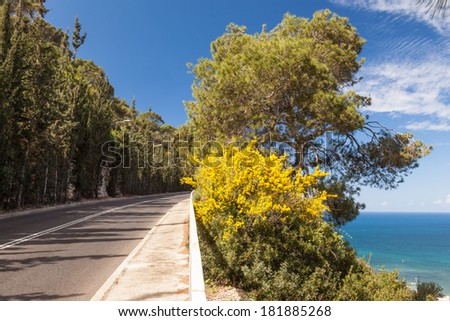 Panoramic view of mountain road with trees, cloudy sky and Mediterranean sea on the background, Stella Maris Road, Haifa, Israel.