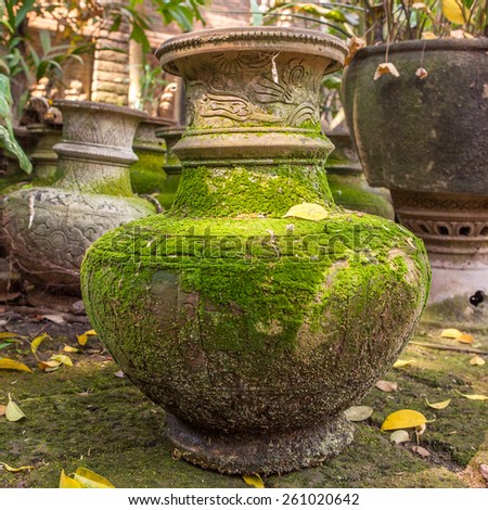 Clay pot with green moss