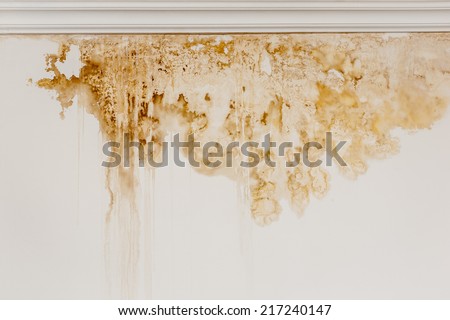 Water stain on the interior wall of an old house.