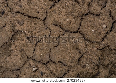 Cracked earth long without rain