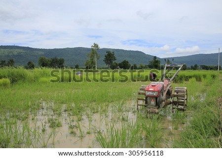 KHONKAEN THAILAND-AUGUST 10: Thailand rice farmer began after a rain on AUGUST 10, 2015 at fields in KHONKAEN THAILAND