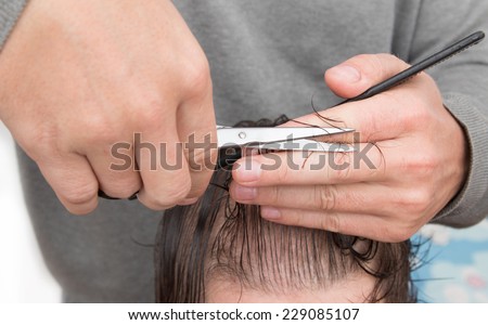 hair cutting scissors hair