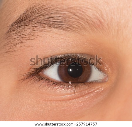brown eyes macro