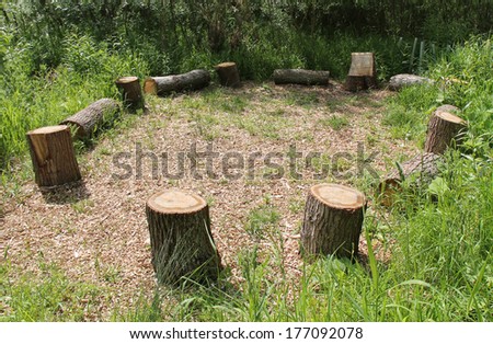 A Picnic Site of Wooden Tree Trunk Seats in a Circle.