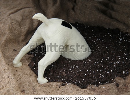 A Model of a Dogs Head Digging in a Pile of Soil.
