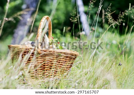 Catch of the mushroomer. Basket with mushrooms. Image with selective focus