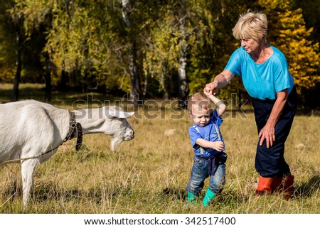 Fair hair little boy is afraid of nanny-goat and running away from it. His grandmother is holding his hand. Image with selective focus