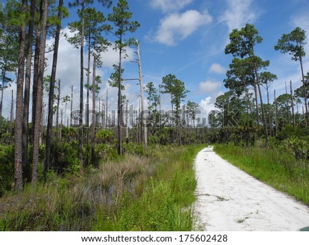 Tosohatchee Wildlife Management Area in Florida