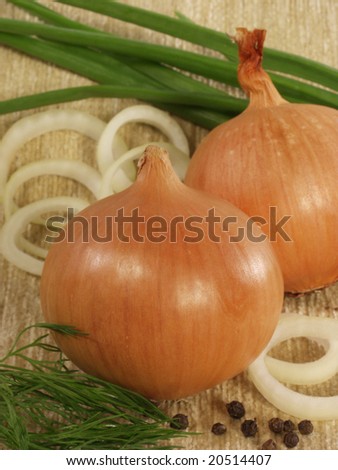 Two bulbs on a sacking on a background of a green onions and onions rings