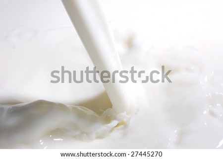 milk splashes with many drops into fresh milk