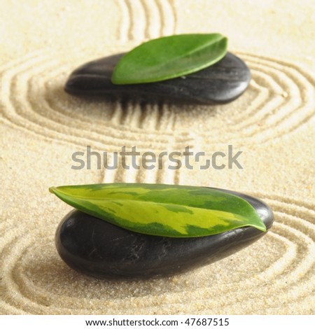 harmony concept with zen stones and leaves