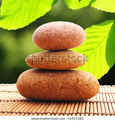 zen stone and green leaf showing spa or wellness concept