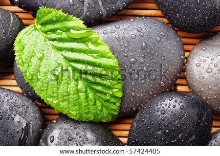 zen stone with green leaf or water drops showing spa or wellness concept