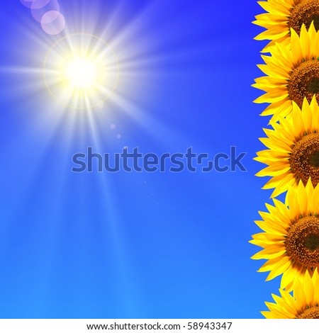 summer sun and copyspace on blue sky with flower