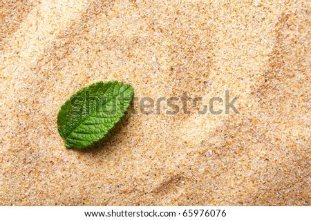 zen stone with leaf on sand showing spa concept