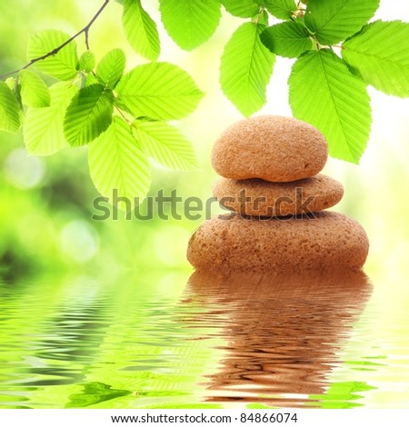 zen stones and green summer leaves with water reflection