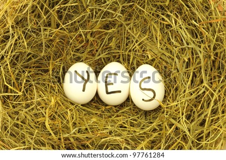stock-photo-yes-written-on-eggs-in-green-hey-or-straw-97761284.jpg