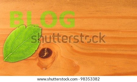 blog concept with word on nature still life