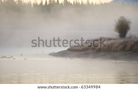 Morning fogs begins to lift off of the Snake River in Jackson Hole, WY
