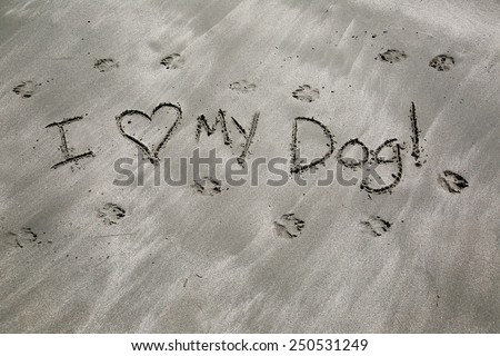 I love my dog written in the black sand; dog paw prints  in black sandy beach